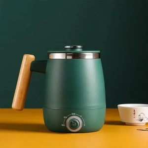 Théière Chinoise Électrique À Température Réglable