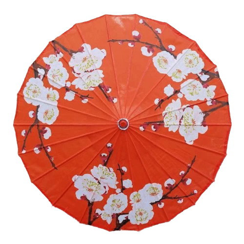 Ombrelle Chinoise Bourgeons
